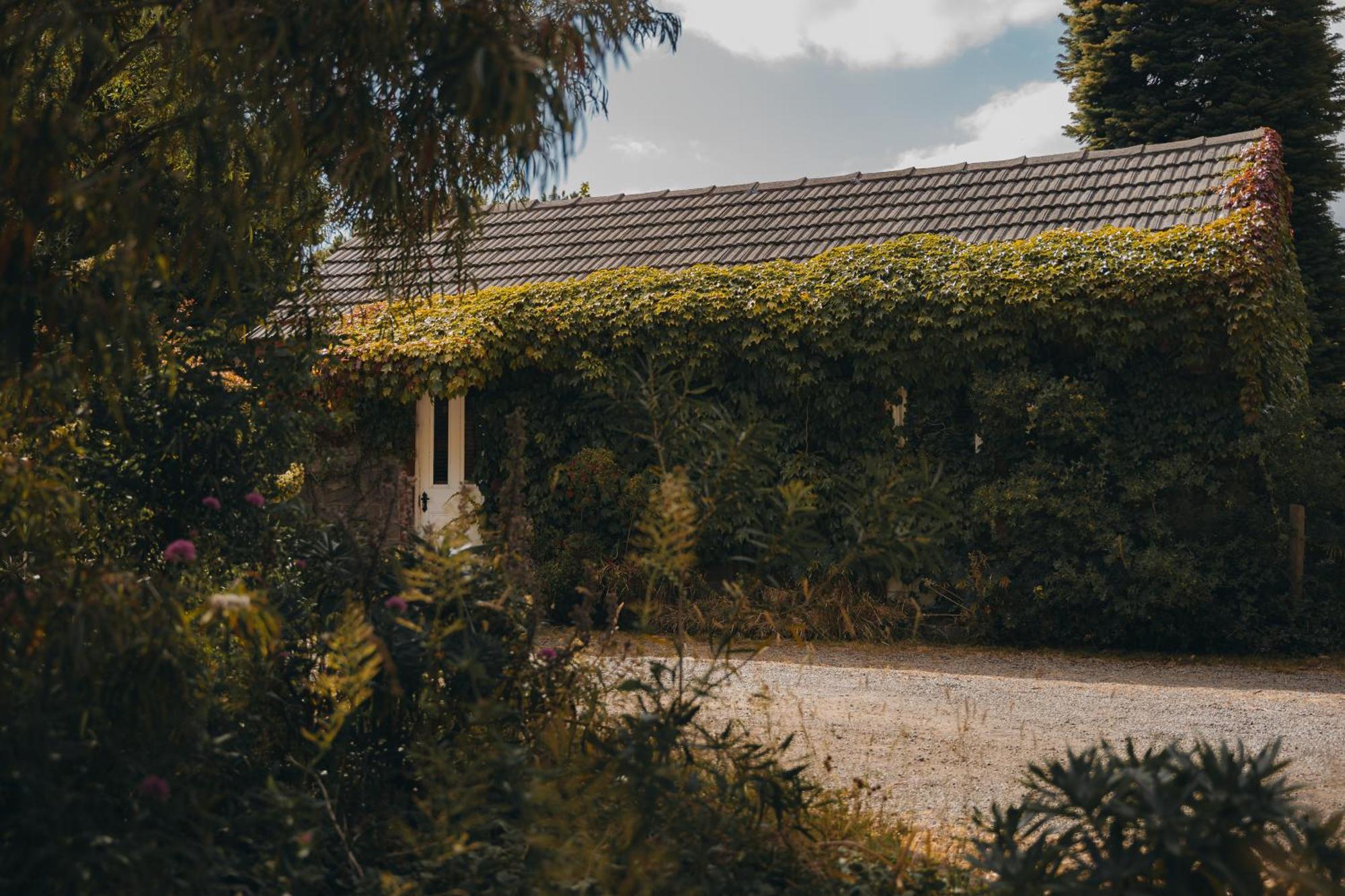 Farm stay Hideaway Farmlet Romantic With Miniature Goats *